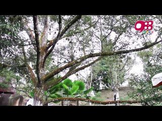 《988 DJ 同乡同行》之龙邦新村站 [阿晨篇] （Part 2/3)