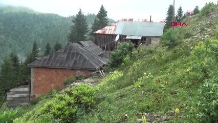 TRABZON Kurt saldırısında hayvanların telef olduğu yaylada, tüfekli nöbet başladı
