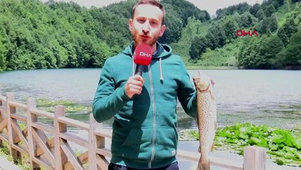 ORDU Ulugöl'de en büyük balığı yakalamak için yarıştılar