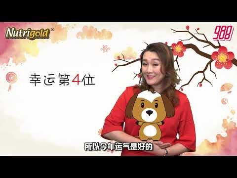 988《全力pick up 过好年》十二生肖好运程—狗