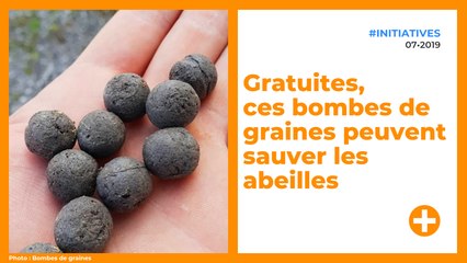 Gratuites, ces bombes de graines peuvent sauver les abeilles