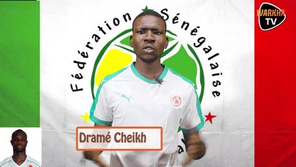 Senegal 23 : Découvrez le portrait de Moussa Konaté