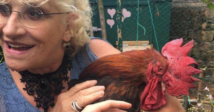 Des coqs vont venir soutenir le coq Maurice lors de son procès ce jeudi