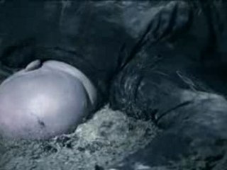 Paradise - lost the enemy  2007