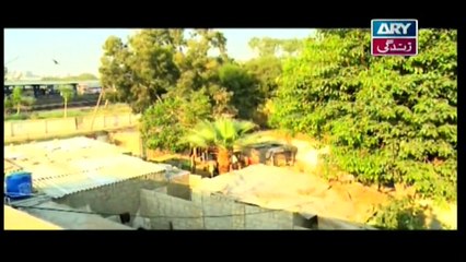 Mehmoodabad Ki Malkain Episode 94 & 95 - 2nd July 2019