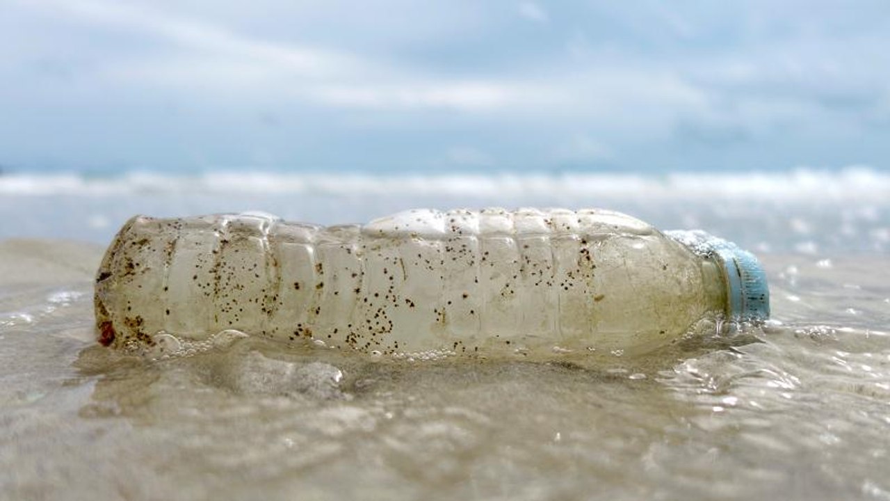 Zum Schutz des Meeres: 200 Euro für Plastikfischen