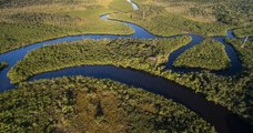 Des zones de la forêt amazonienne de la taille d'un « terrain de football » perdues chaque minute