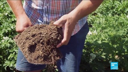 Vers une interdiction du glyphosate en Autriche ?