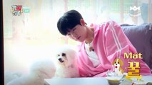 [Vietsub] Monsta X’s Puppy Day Teaser Jooheon