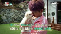 [Vietsub] Monsta X’s Puppy Day Teaser Kihyun