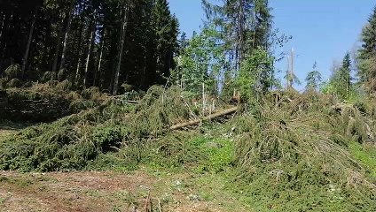 Combloux : après les orages,  on dégage les arbres