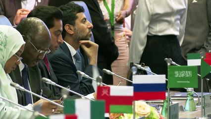 La OPEP y sus aliados adoptan un “acuerdo” de cooperación permanente