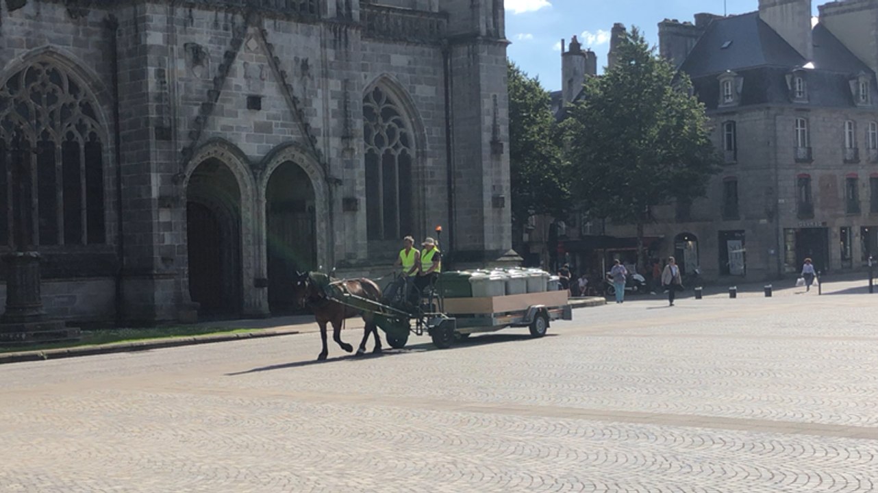 En centre-ville de Quimper, des chevaux pour la collecte des déchets cet été