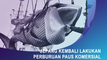 Jepang Kembali Lakukan Perburuan Paus Komersial