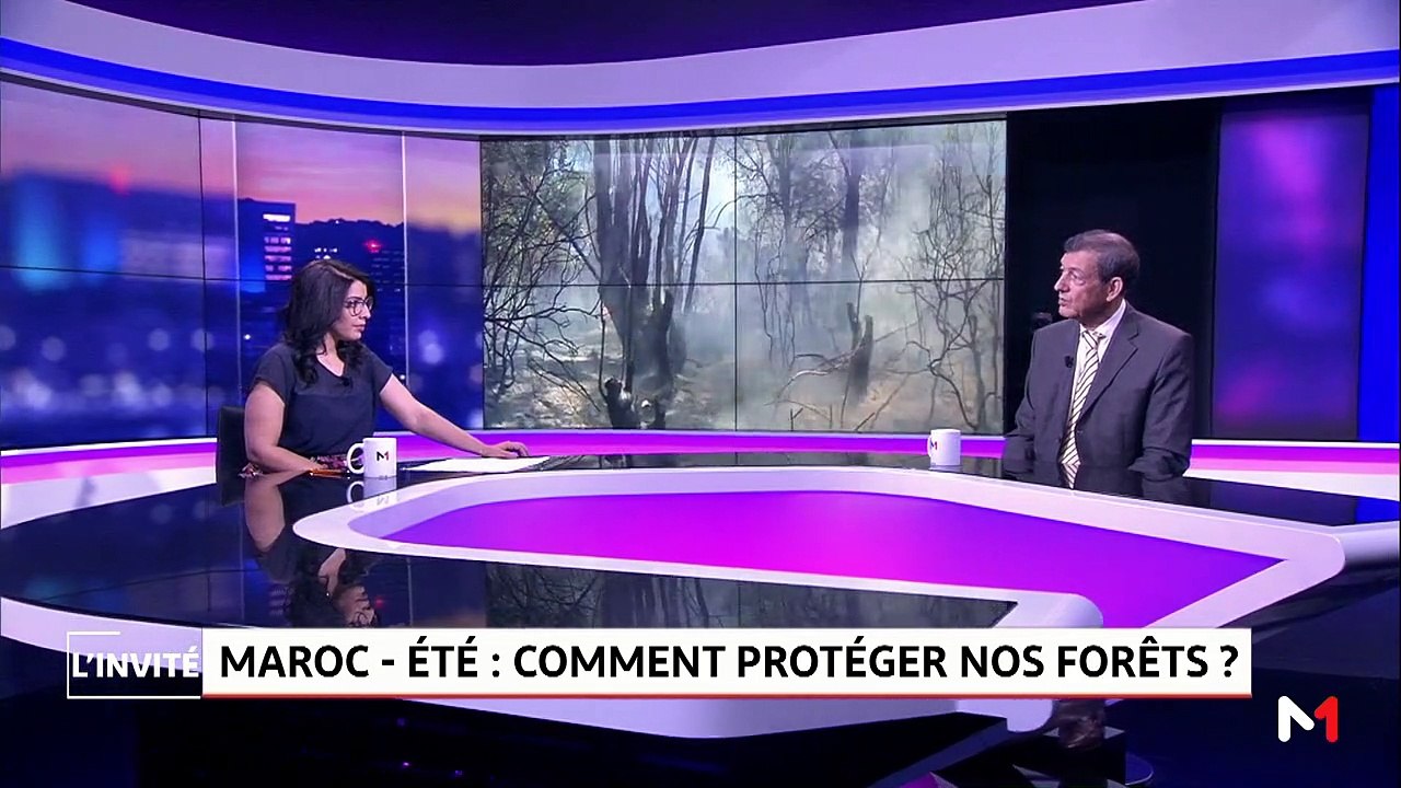Maroc - été .. Comment protéger nos Forêts?  - 02/07/2019