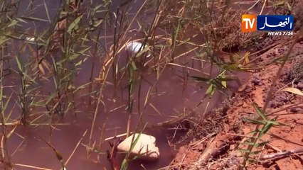 تمنراست: البرك المائية..المتنفس الوحيد للأطفال بقرية فقارة لعرب