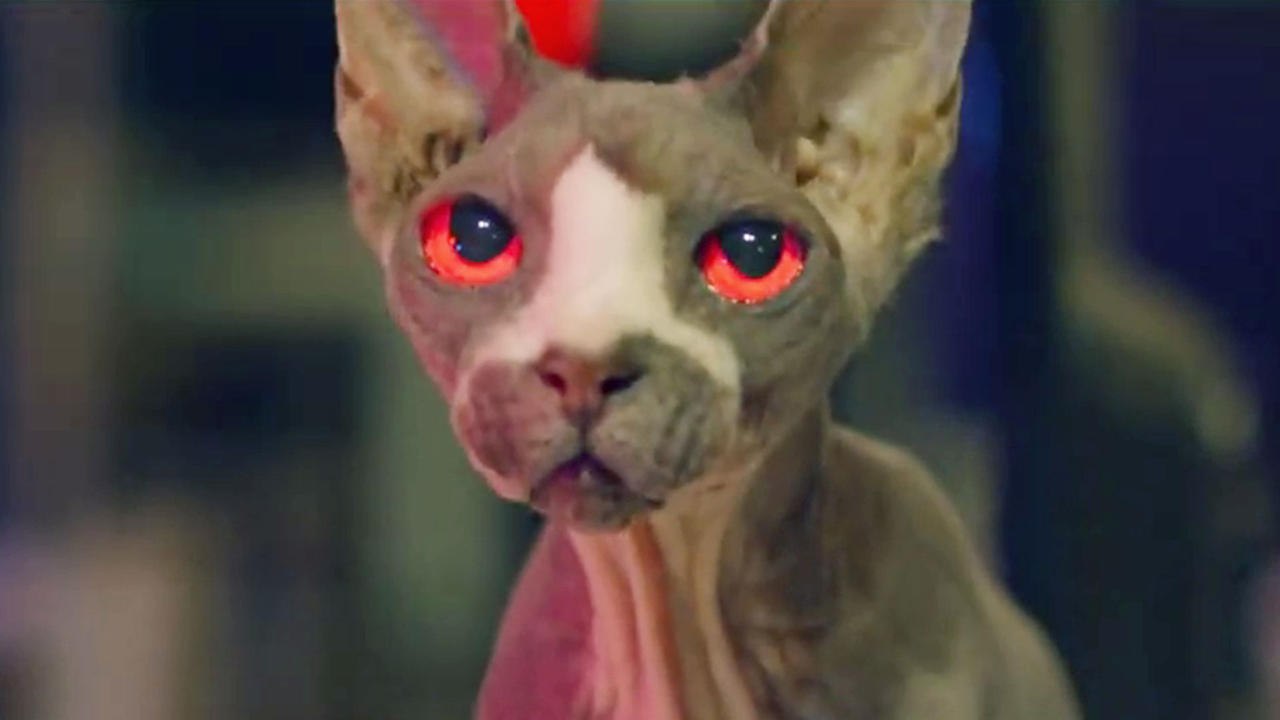 Friedhof am Ende der Welt Pet Graveyard Trailer (Deutsch) HD