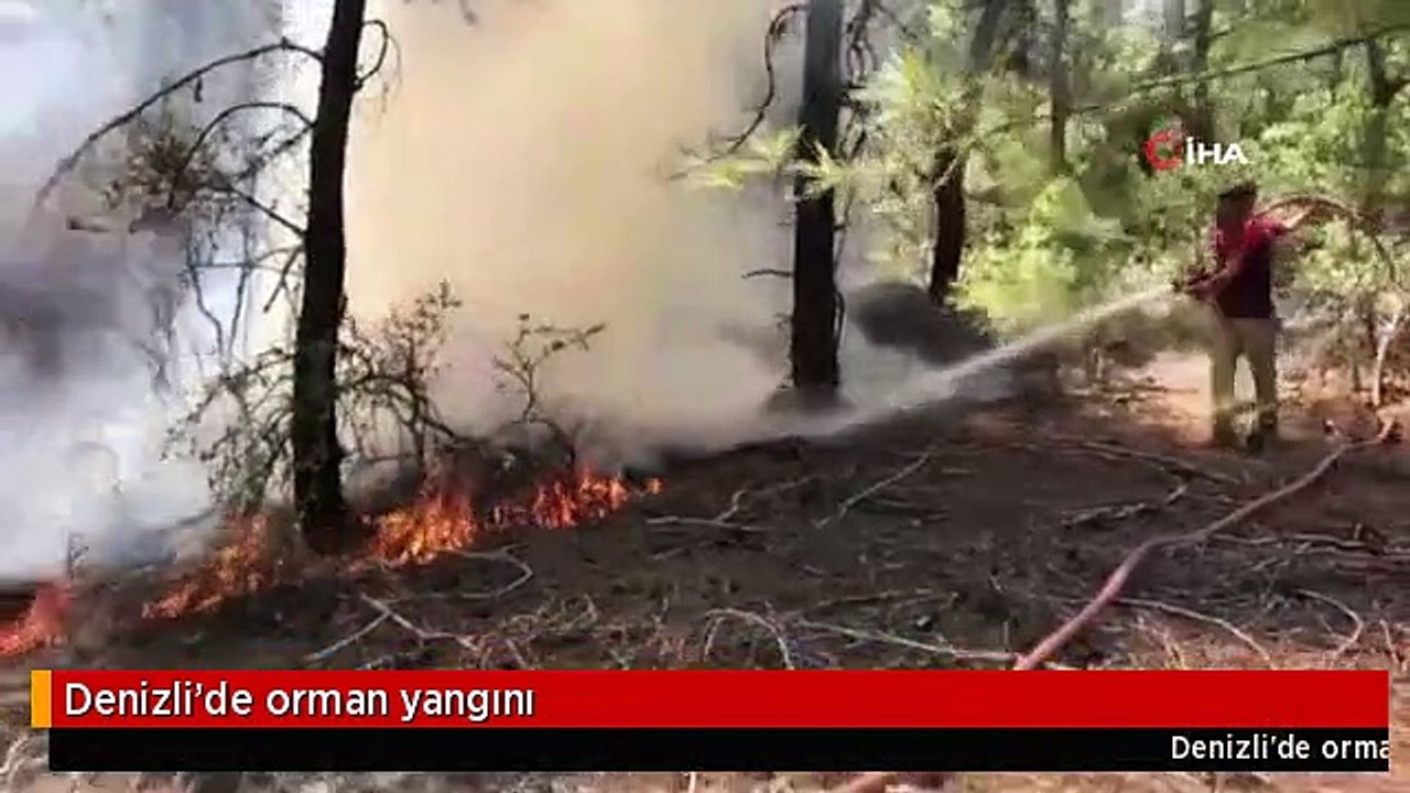 Denizli'de orman yangını