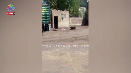 شونة تسلم المطاحن قمح مخلوط بالأتربة بمحافظة المنيا