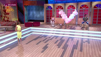 ¡Yamilet tuvo un portal MUY CANINO! | Enamorándonos