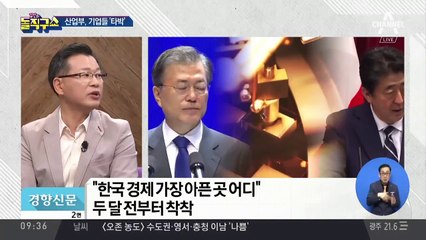 직격탄 맞은 기업에 타박…산업부의 ‘적반하장’