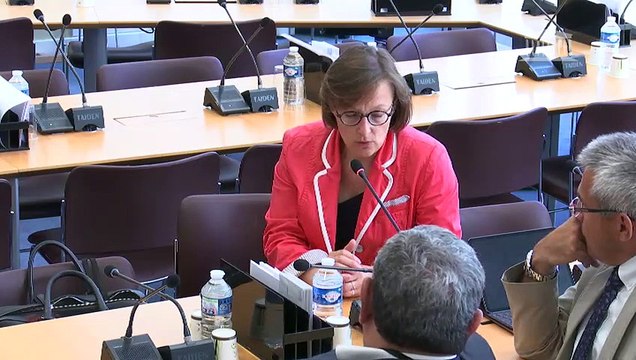 Délégation aux collectivités territoriales : Organisation des communes nouvelles à la diversité des territoires - Mardi 2 juillet 2019