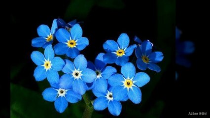 강남안마24시OlO→3OO5→92O8모델라인업24시쭉쭉빵빵클럽식안마강남안마선릉안마역삼동안마대치동안마방배동안마서초안마교대안마잠실안마신천안마피쉬안마다오안마자전거안마스타안마티파니안마보물섬안마바나나안마블랙홀안마선릉역안마3645364