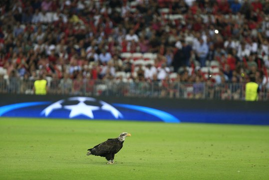 Les voeux des supporters niçois avec le rachat de l'OGC Nice par Jim Ratcliffe