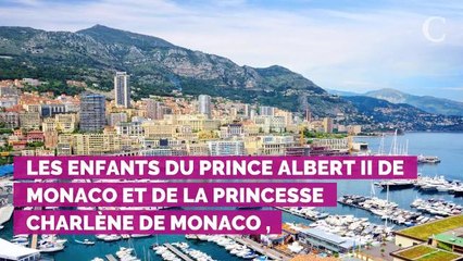 Mariage de Charlotte Casiraghi et Dimitri Rassam : ce discours...