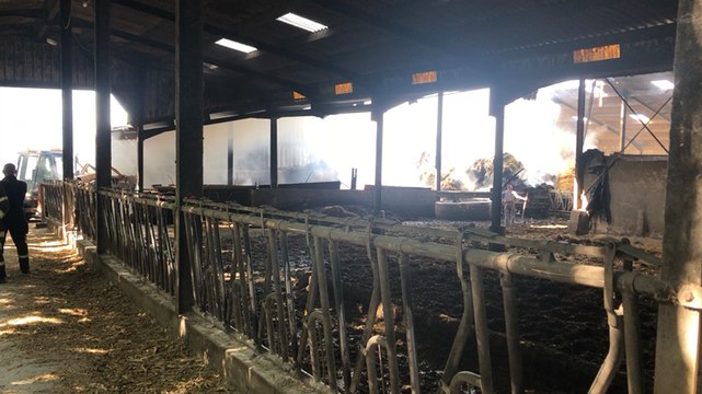 Quimper. Un hangar agricole détruit par le feu