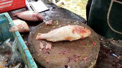 Amazing Fast Cutting Fish