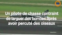 Un pilote de chasse contraint de larguer des bombes après avoir percuté des oiseaux