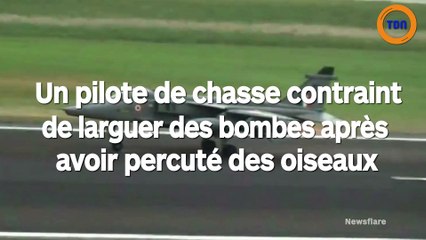 Un pilote de chasse contraint de larguer des bombes après avoir percuté des oiseaux