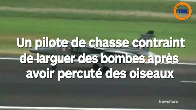 Un pilote de chasse contraint de larguer des bombes après avoir percuté des oiseaux