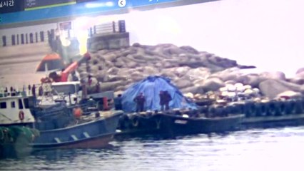 정부 "경계 실패 인정...은폐나 축소는 없어" / YTN