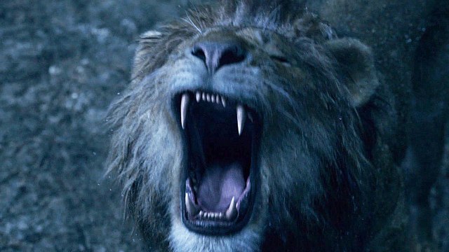 Der König der Löwen - TV Spot Kingdom (Deutsch) HD