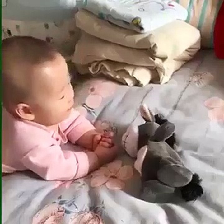 Lừa con vui tính vừa đi vừa nhại tiếng với chất giọng léo nhéo