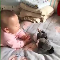 Lừa con vui tính vừa đi vừa nhại tiếng với chất giọng léo nhéo