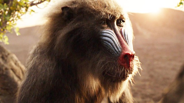 Der König der Löwen - TV Spot Legend (Deutsch) HD