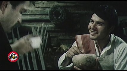 Stop-Krahasimi i Metes me heronjtë tragjike.(02.07.2019)