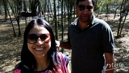 Coorg- The Scotland of India  Coorg Tourism 2019