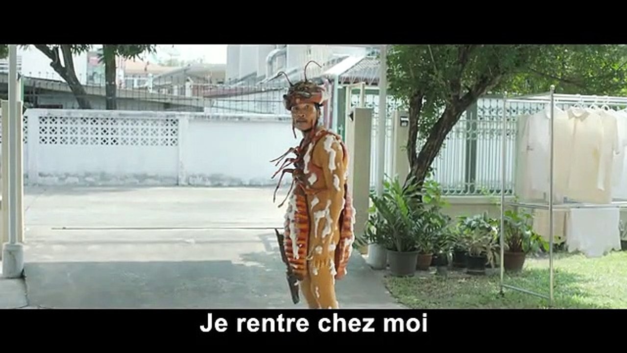 Pub Chaindrite (Termites)