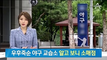 우후죽순 ‘스타표’ 야구 교습소…“몇 개인지도 몰라”