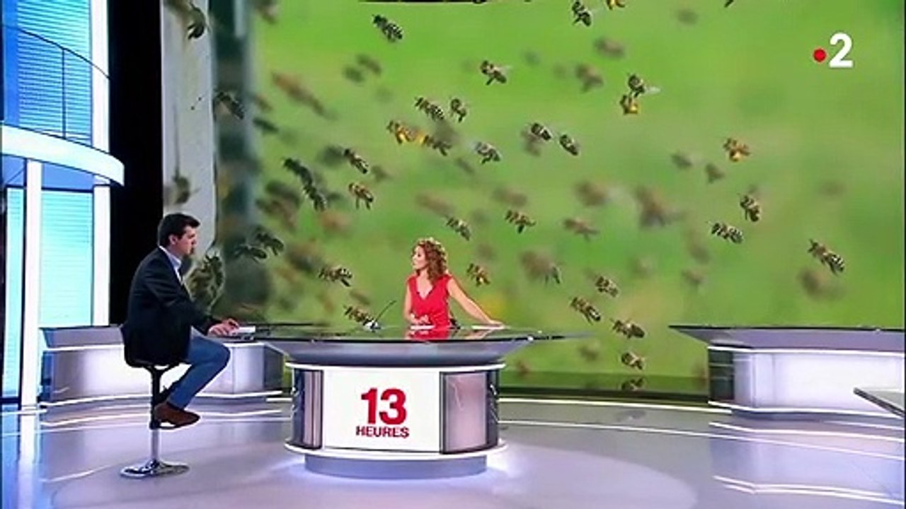 Attaque d'abeilles en Haute-Loire : un drame spectaculaire, mais rare