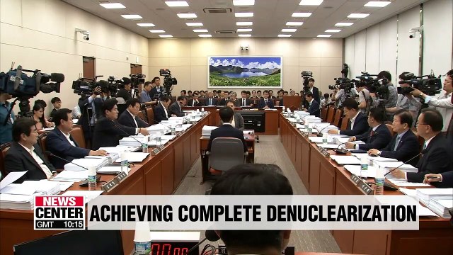 Complete denuclearization remains goal of S. Korea: Seoul's FM