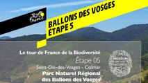 Étape 5  : Parc naturel régional des Ballons des Vosges