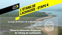 Étape 4 : Réserve naturelle régionale de l’Etang de Lachaussée