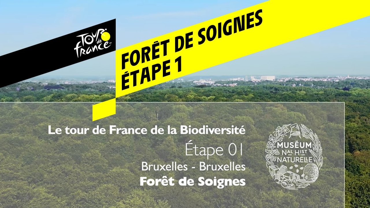 Étape 1 : Forêt de Soignes