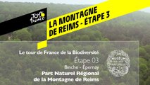 Étape 3 : Parc naturel régional de la Montagne de Reims