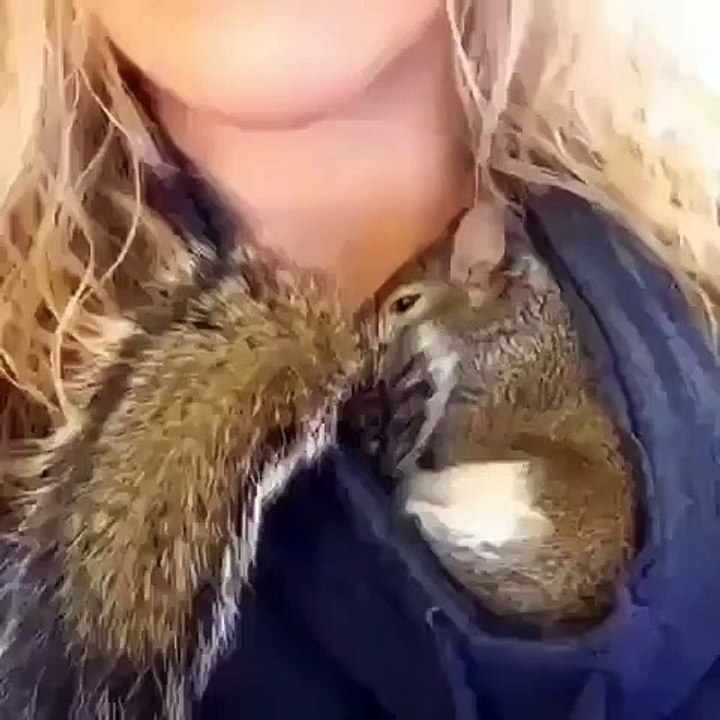 Cette sublime écureuil n'aime pas qu'on la filme. Elle fait quelque chose de surprenant !